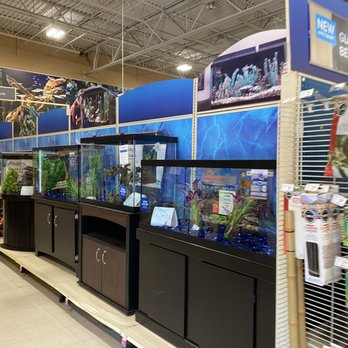 PetSmart - Pet Training Near Me - Chino Hills, California