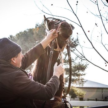 Abe's Buggy Rides - Tours Near Me - Bird In Hand, Pennsylvania