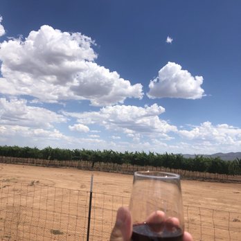 High Lonesome Vineyard - a hand holding a glass of wine - Wineries Near Me - McNeal, Arizona High Lonesome Vineyard - a hand holding a glass of wine - Wineries Near Me - McNeal, Arizona