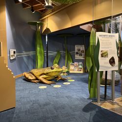 River Legacy Nature School - Learning room