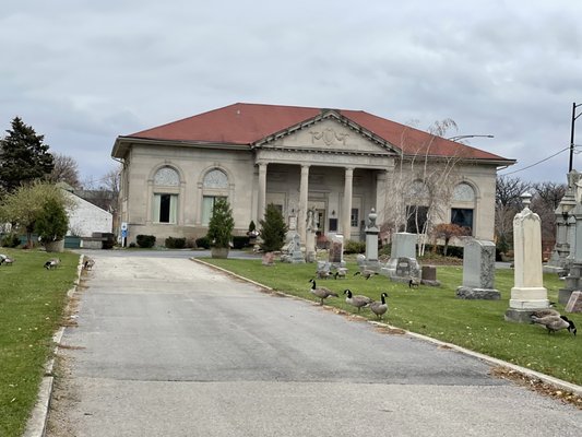 Bohemian National Cemetery by null