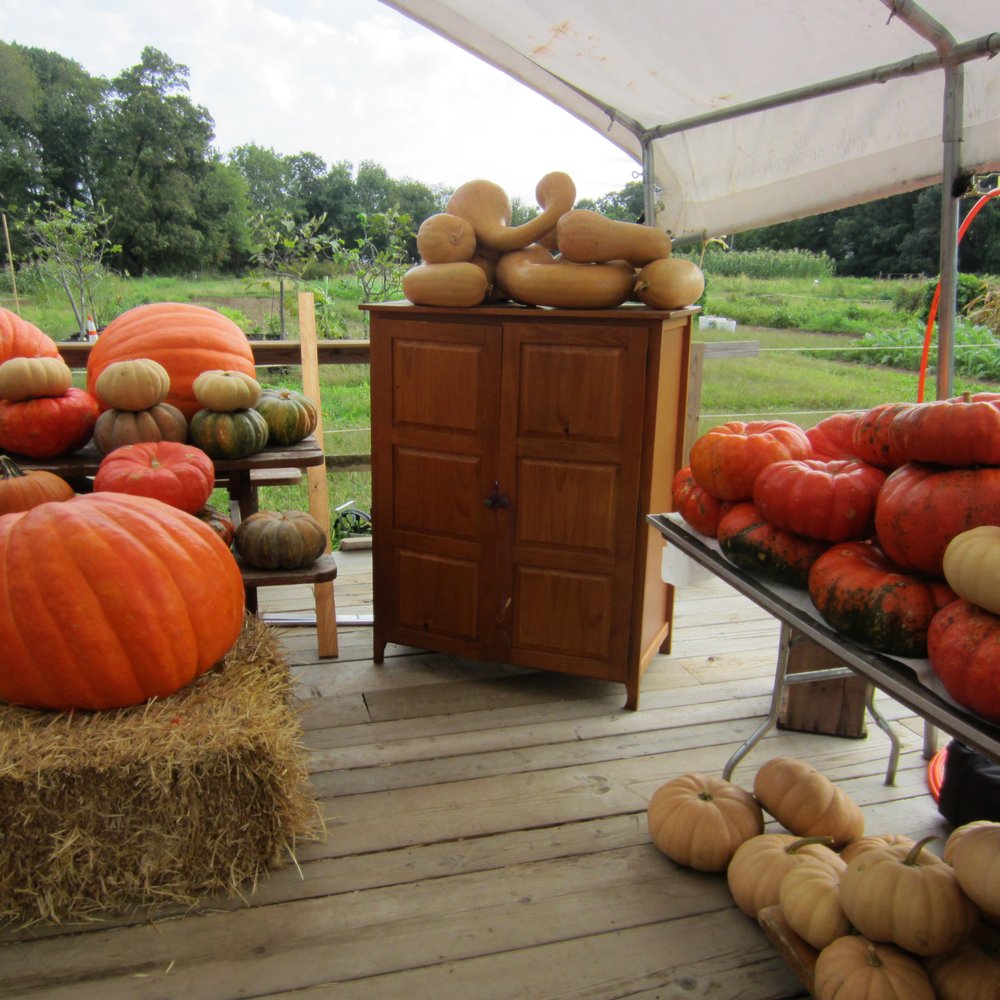 Decker Farm - Farmers Market Near Me - Staten Island, New York
