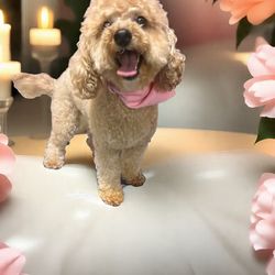 Krazy Kimz Mobile Grooming - Lucy Lou with Groomer Kim! Krazy Kimz is the best!