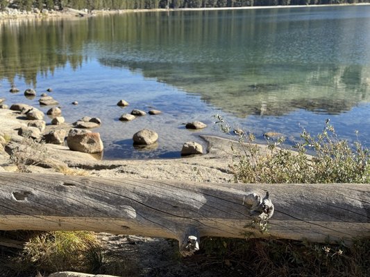 Tenaya Lake by null
