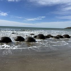 Moeraki Boulders Cafe