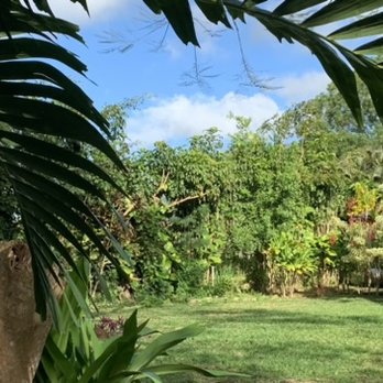 Isaiah's Tree Service - before - Tree Services Near Me