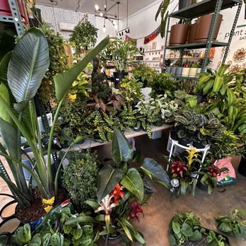 Plant Shoppe - I'm in Plant heaven ! - Nurseries & Gardening Near Me - San Antonio, Texas Plant Shoppe - I'm in Plant heaven ! - Nurseries & Gardening Near Me - San Antonio, Texas