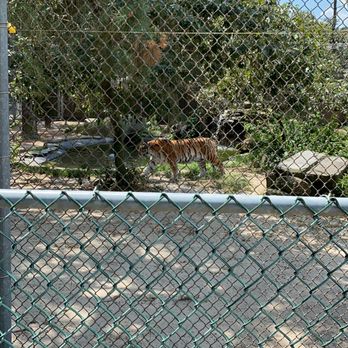 Popcorn Park Zoo - Zoos Near Me - Forked River, New Jersey