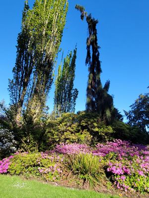 Washington Park by null