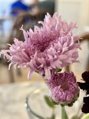 Bev’s Cafe and Market by null