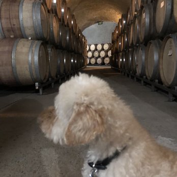 Eberle Winery - Wineries Near Me - Paso Robles, California