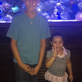 Casablanca - My kids loved the inside aquarium as we walked in the restaurant - Seafood Near Me - Miami, Florida Casablanca - My kids loved the inside aquarium as we walked in the restaurant - Seafood Near Me - Miami, Florida
