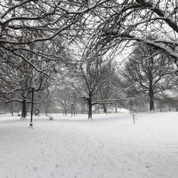 Riverside Park - Snow day at the park.