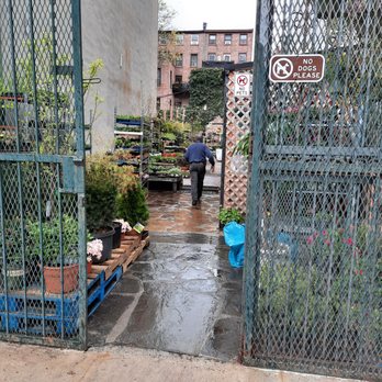 Gardel's Garden - So easy to find what you  want and also surprises as well not just the usual plant collection. - Nurseries & Gardening Near Me - Brooklyn, New York