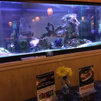 Pho Lantern Restaurant - One of our favorites - Seafood Near Me - Buffalo, New York