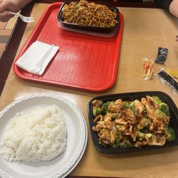 Ming's Village - Really good