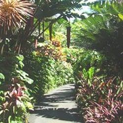 Hawaii Tropical Botanical Garden - Hawaii Tropical Botanical Garden