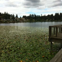 The pond. The pond.