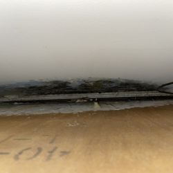 Park Place of Fountain City - Black mold on wall and dresser Unreal