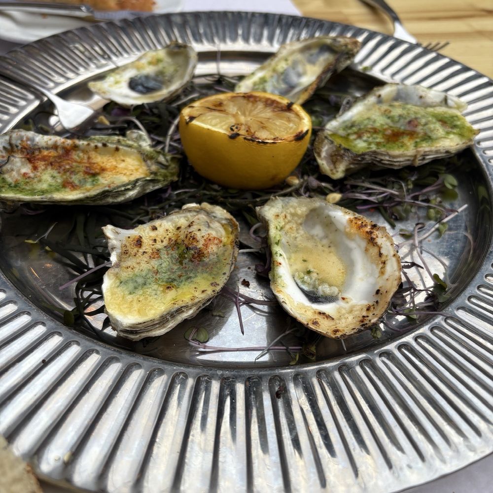 Zoubi - Baked Oysters - New American Near Me - New Hope, Pennsylvania Zoubi - Baked Oysters - New American Near Me - New Hope, Pennsylvania
