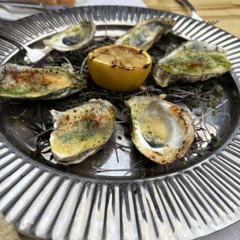 Zoubi - Baked Oysters - New American Near Me - New Hope, Pennsylvania