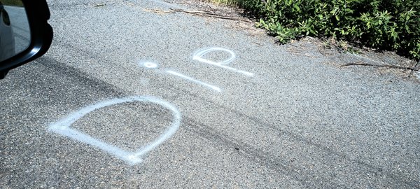 Mt St Helens by null