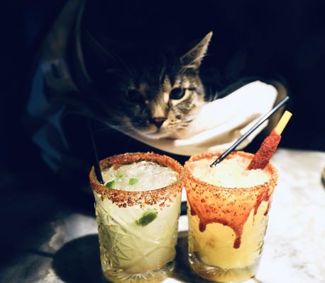 Carmelita's Kitchen by null