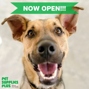 Pet Supplies Plus Milford - Pet Groomers Near Me - Milford, Ohio