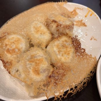 Dumpling Artisan - Pan fried dumplings - Noodles Near Me - Rancho Cucamonga, California Dumpling Artisan - Pan fried dumplings - Noodles Near Me - Rancho Cucamonga, California