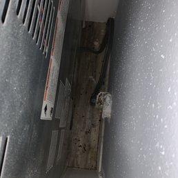 Rat poop in every crevice. Rat poop in every crevice.