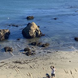 Franklin Point Trails - Año Nuevo Coast Natural Preserve - Photo 4: Franklin Point