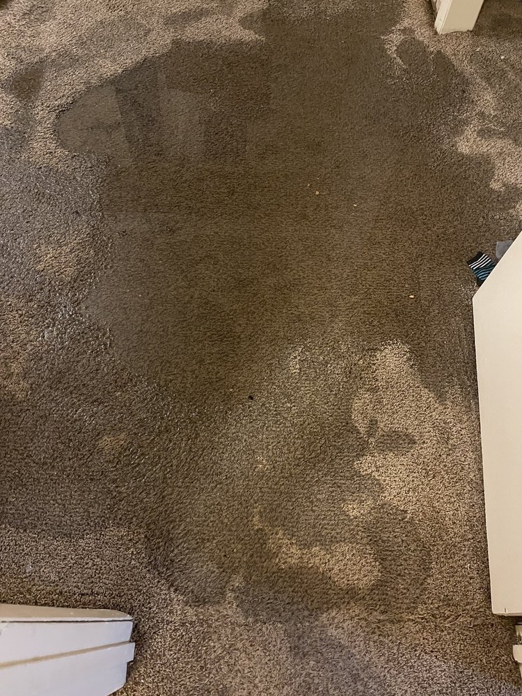 PARKWOOD APARTMENTS Updated September 2024 38 Photos & 12 Reviews