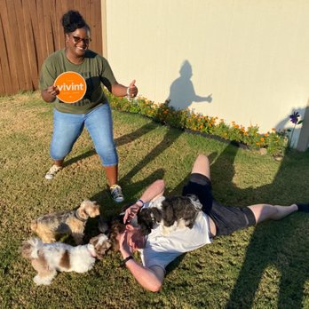 Vivint - Jesse AKA Captain America (Vivint Salesperson) being attacked by dogs while making a sell. - Security Systems Near Me - Round Rock, Texas Vivint - Jesse AKA Captain America (Vivint Salesperson) being attacked by dogs while making a sell. - Security Systems Near Me - Round Rock, Texas