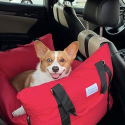 Jerrys Hand Wash And Auto Detailing - A very happy corgi in her clean car!