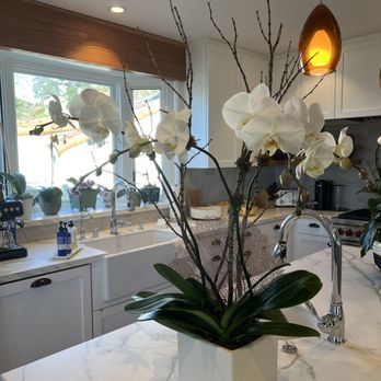 Orchid Florist - Florists Near Me - Berkeley, California