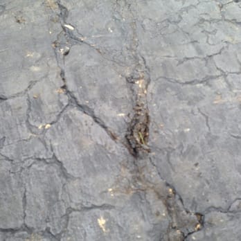Distinctive Lawn And Landscape - damage to my driveway - Tree Services Near Me - Columbus, Ohio