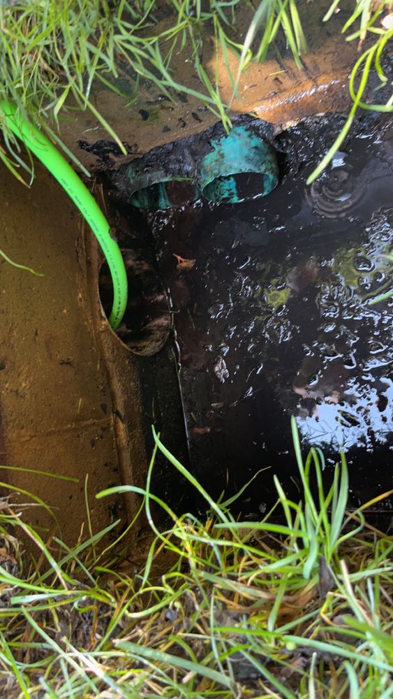 Slide of Clear Drains