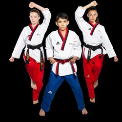 Dragon Taekwondo Academy - Light Your Fire Within