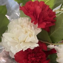 Carnations Carnations
