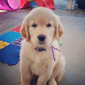 San Benito Veterinary Center - Beautiful baby Aspen! - Veterinarians Near Me - Hollister, California