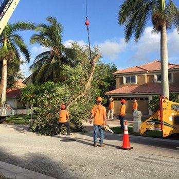 Southern Arbor Services - Landscaping Near Me - Lighthouse Point, Florida