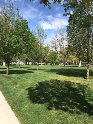 Pioneer Park by null