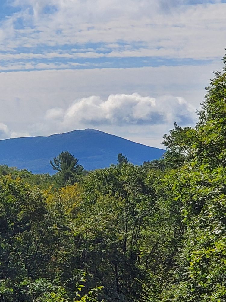 Reed's Tree Service - tree service in Keene, NH