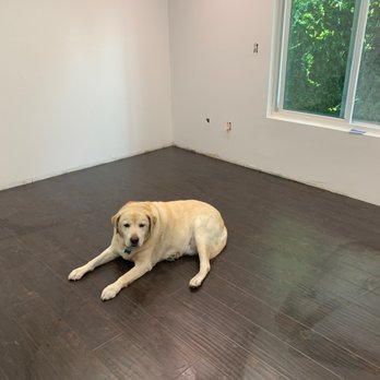 JV Builders & Development - Rocky loves the new floor - General Contractors Near Me