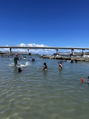 Sebastian Inlet State Park by null
