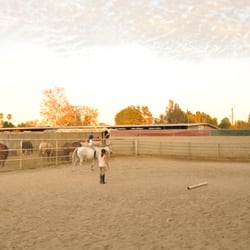 Lorie Martan- Horseback Riding Lessons - Arena -bareback riding