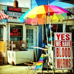 Blue Marlin Beach Shop - Blue Marlin Beach Shop - Kure Beach NC