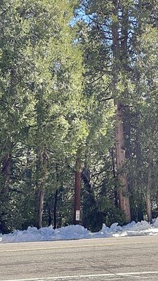 Palomar Mtn. General Store by null