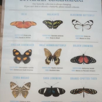 Butterfly Biosphere - Butterfly Guide - Children's Museums Near Me - Lehi, Utah