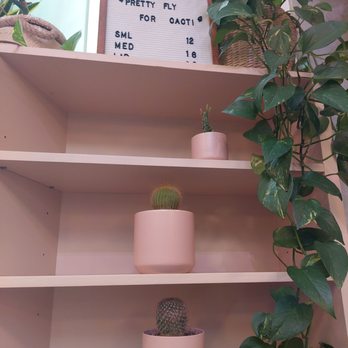 Coffee and Plants - Coffee & Tea Near Me - Pasadena, California